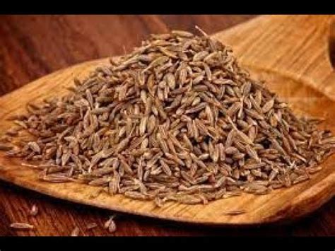 Cumin: An Ancient Spice with a Rich History