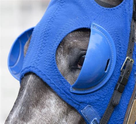 Cup Blinkers: