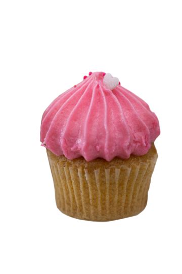 Cupcakeus: The Perfect Sweet Treat for Any Occasion