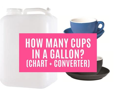 Cups in a Gallon: The Definitive Guide