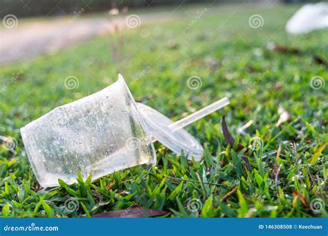 Cups in a Litter: A Widespread Issue and Its Environmental Impact