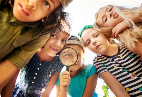 Curiosity and Learning
