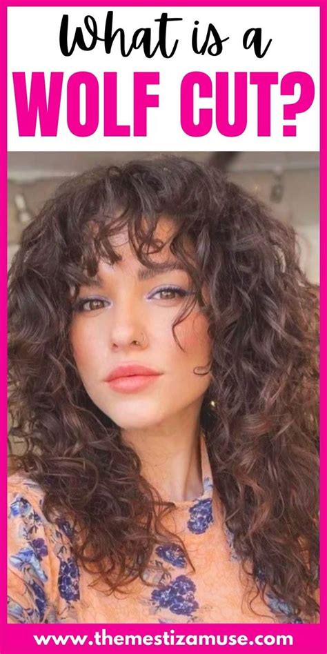 Curly Wolf Cut: Everything You Need to Know