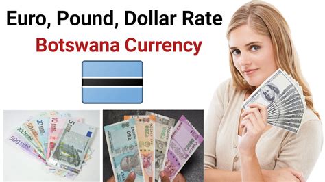 Currency Converter: Botswana Pula to USD