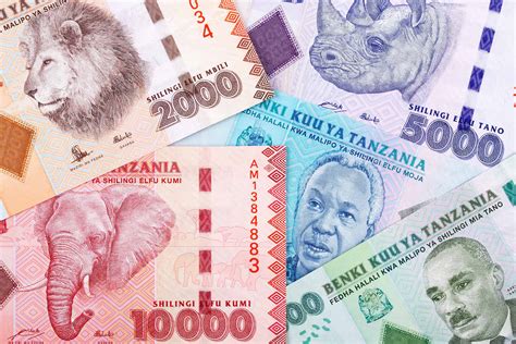 Currency Converter Tanzania: A Comprehensive Guide for Accurate Currency Exchange