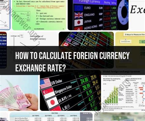 Currency Exchange Rate Basics