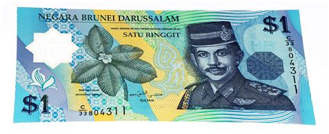 Currency of Brunei: Delving into the Bruneian Dollar and Its Impact on the Nation