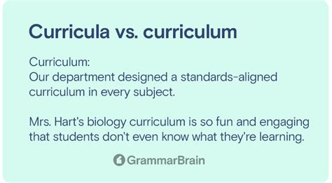 Curricula vs Curriculum: Unlocking the Power of Plurality in Education