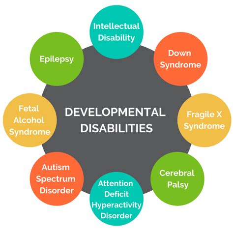 Curriculum for Individuals With Developmental Disabilities Thinking It Through PDF