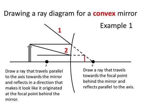 Curved Mirror Ray Diagram Worksheet Answers Reader