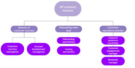 Customer Success Org Chart
