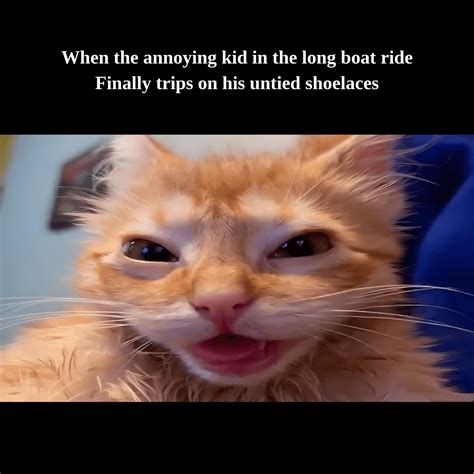 Cute Cat Meme Template