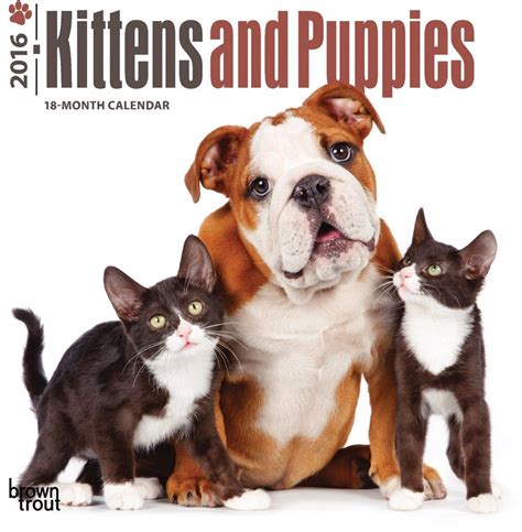 Cute Puppies 2016 Weekly Planner Calendar Animal Calendar Planners 2016 Volume 1 Doc