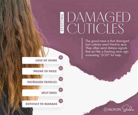 Cuticle Damage and Moisture Loss