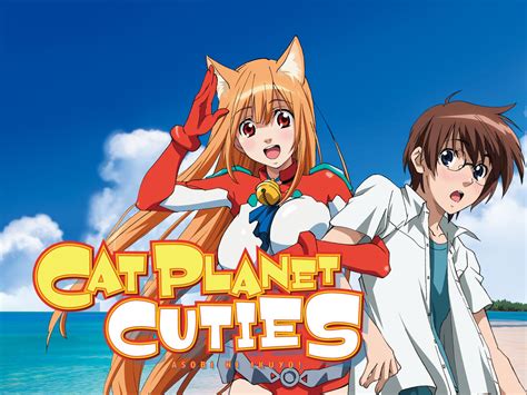 Cutie Cat Planet: A Feline Paradise