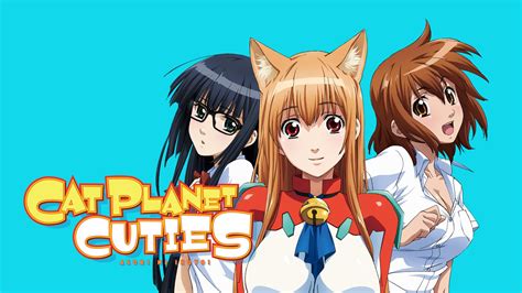 Cutie Cat Planet: A Statistical Paradise