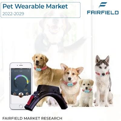 Cutting-Edge Innovation in Pet Wearables