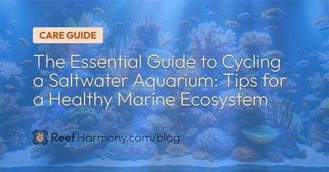 Cycling Aquarium with Fish: The Essential Guide to a Healthy Aquatic Ecosystem