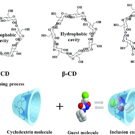 Cyclodextrin Technology Reader