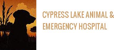 Cypress Lakes Animal Hospital: Your Trusted Partner for Exceptional Pet Care