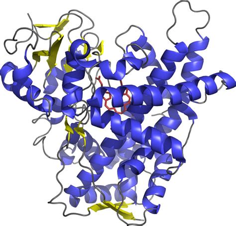 Cytochrome P450 Structure Reader