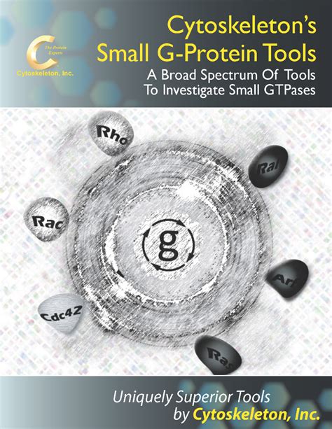 Cytoskeleton and Small G Proteins Epub