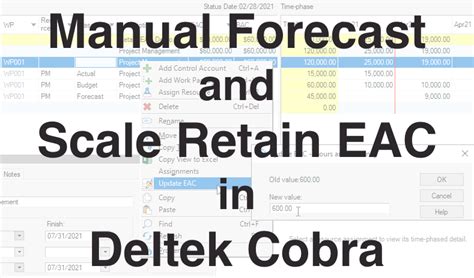 DELTEK COBRA USER MANUAL Ebook Doc