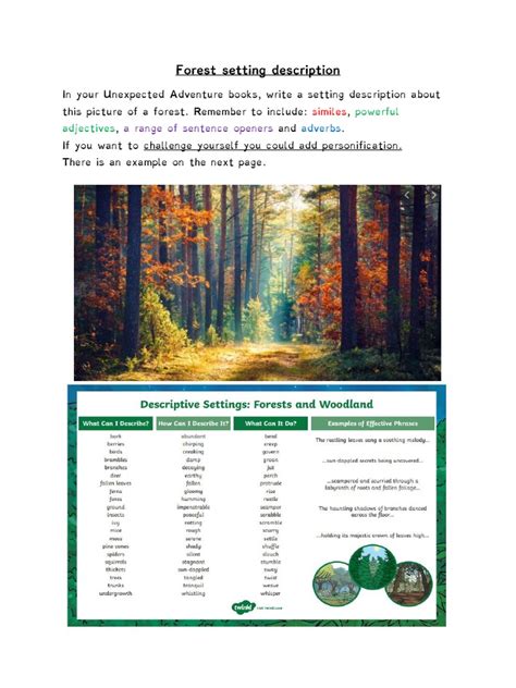 DESCRIPTION OF A FOREST SETTING Ebook Doc