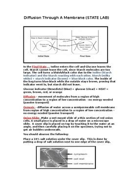 DIFFUSION THROUGH A MEMBRANE STATE LAB ANSWER KEY Ebook Reader