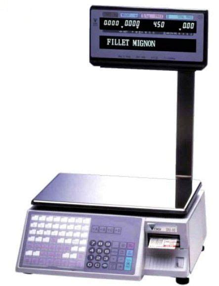 DIGI SCALES SM 90 MANUAL Ebook Reader