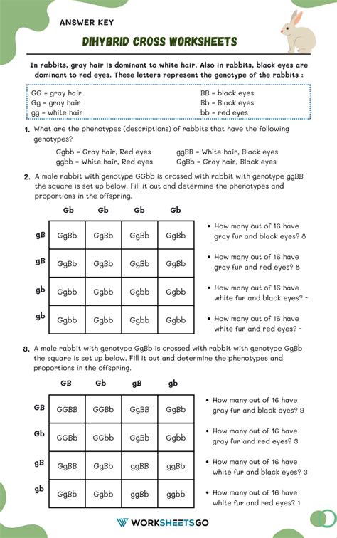 DIHYBRID CROSS WORKSHEET ANSWER KEY Ebook Reader