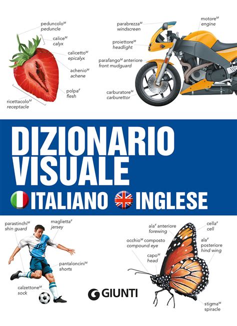 DIZIONARIO VISUALE IN 5 LINGUE italiano inglese tedesco a Euro pdf Epub
