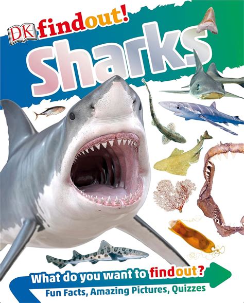 DK Findout Sharks DKfindout