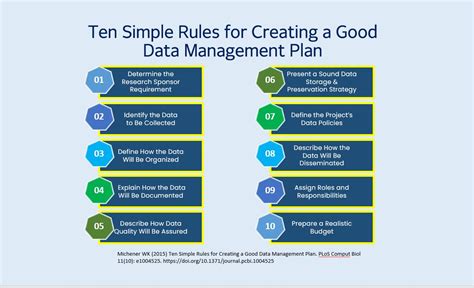 DMP 11: The Ultimate Guide to Data Management Planning