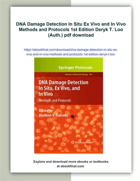 DNA Damage Detection In Situ Epub