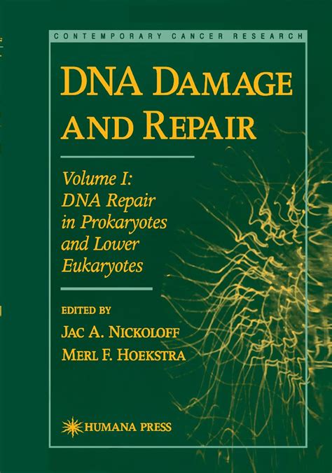 DNA Damage and Repair, Vol. I DNA Repair in Prokaryotes and Lower Eukaryotes 1st Edition Epub