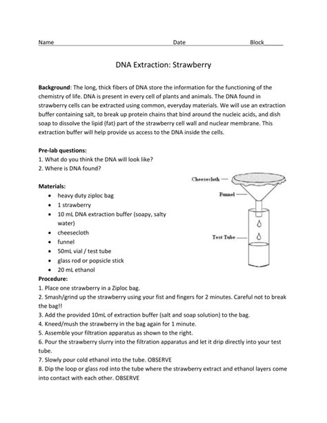 DNA EXTRACTION LAB ANSWER KEY Ebook Epub