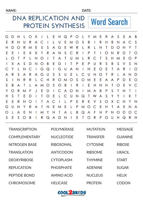 DNA RNA PROTEIN SYNTHESIS WORD SEARCH ANSWERS Ebook Reader