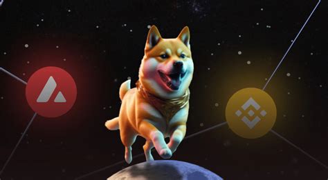 DOGEVERSE COIN: 2023’S TOP DOG IN THE CRYPTO UNIVERSE