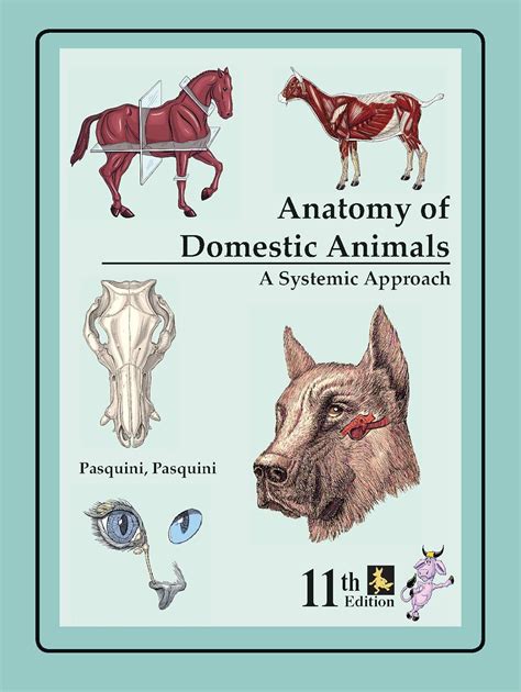 DOMESTIC ANIMALS SYSTEMIC REGIONAL APPROACH PASQUINI 11 EDITION PDF BOOK Reader