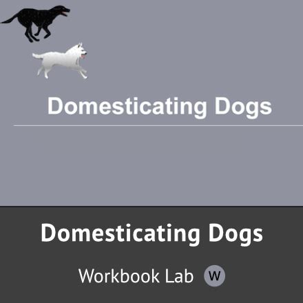 DOMESTICATING DOGS SIMBIO ANSWERS Ebook Kindle Editon