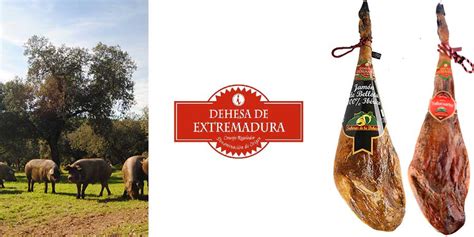 DOP Dehesa de Extremadura：