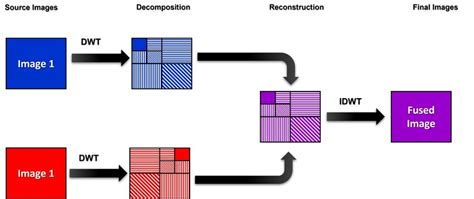 DWT Grams: Unraveling the Power of Wavelet Transforms for Image Processing