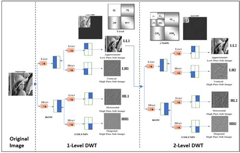 DWT to G: Unlock the Potential of Image Compression and More