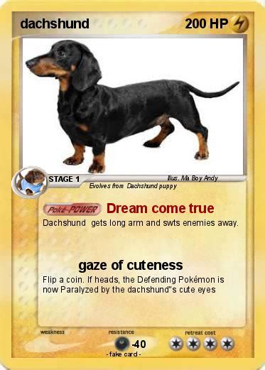 Dachshund Pokémon Card: An Unforgettable Investment for Collectors and Enthusiasts