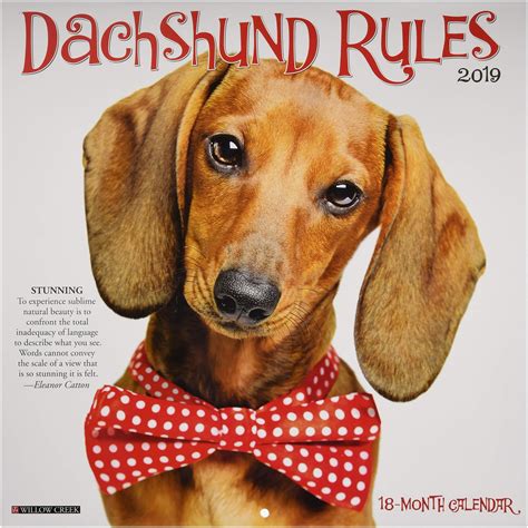 Dachshund Rules Calendar Breed Calendars Epub