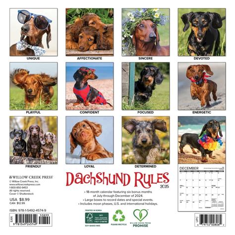 Dachshund Rules Calendar Breed Calendars Doc