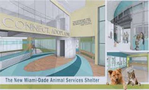 Dade County Animal Control Overview