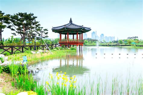 Daelicious: Your Ultimate Guide to the Delightful World of Daejeon