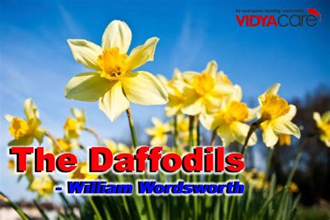 Daffodils: All Your Burning Questions Answered (and How They Can Brighten Your Day)